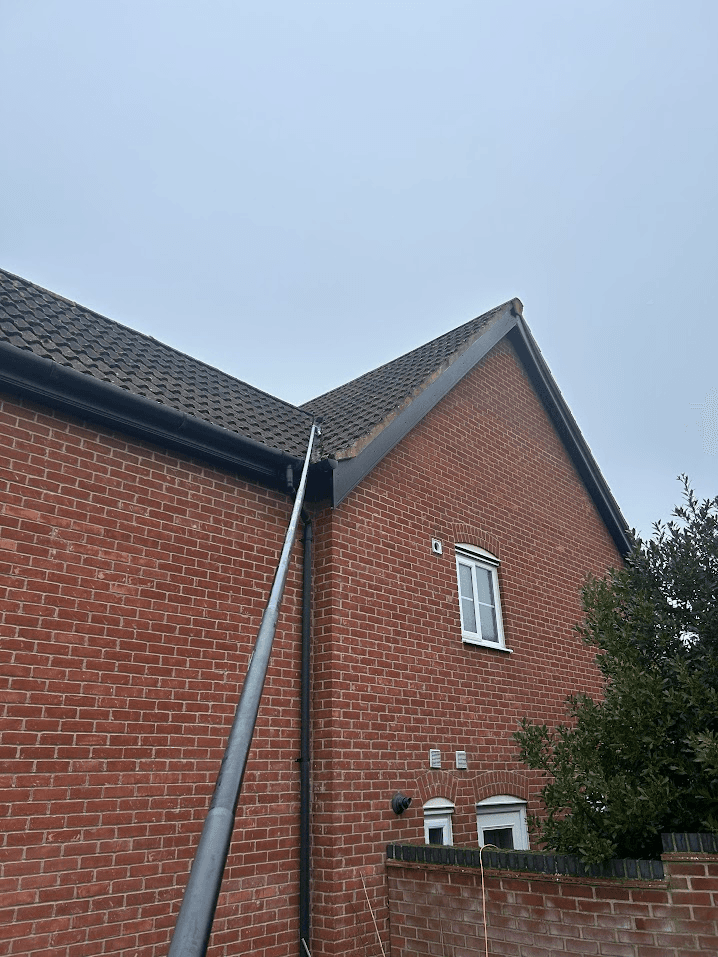 Gutter cleaning