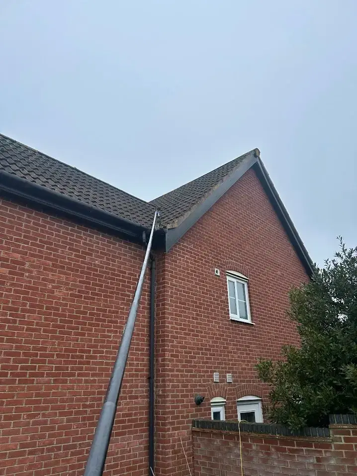 Gutter cleaning