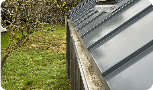 Domestic gutter cleaning